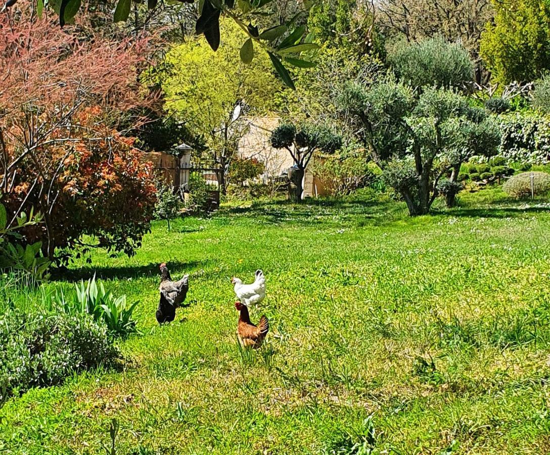 Monteze Paradis Saint-Christol-lès-Alès Exteriör bild